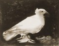 The dove 1949 Pablo Picasso